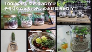 100均でDIY出来るテラリウム雑貨のまとめ