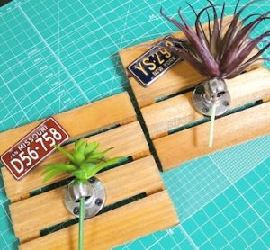 100均キャンドゥのフェイクグリーンとすのこで作った装飾